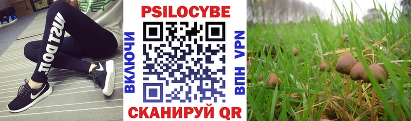 закладки  Мышкин  Галлюциногенные грибы прущие грибы 